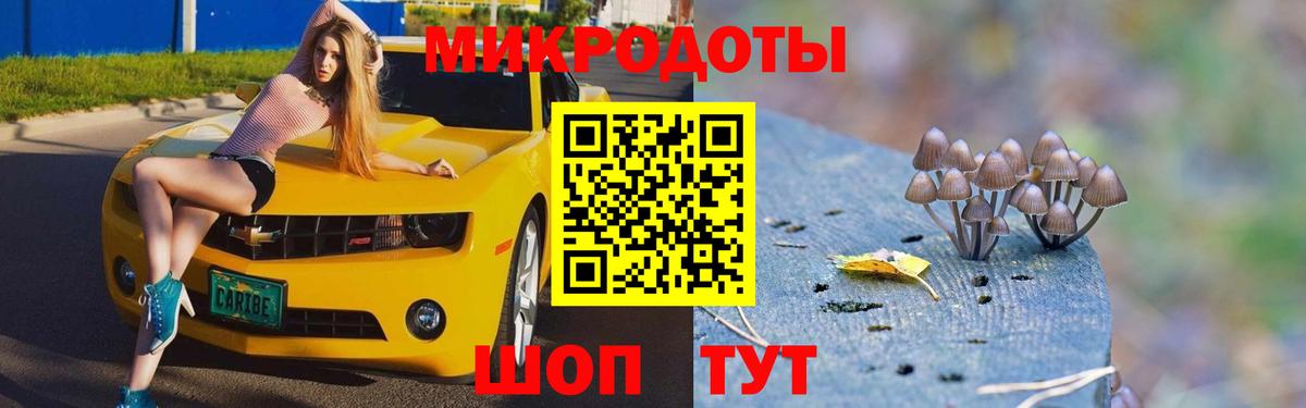 Ртищево  Псилоцибиновые грибы MAGIC MUSHROOMS  Вход с VPN 
